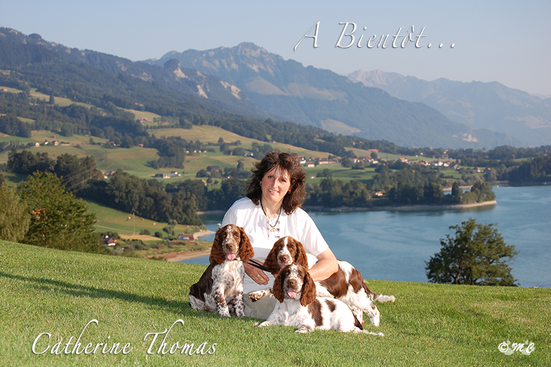 Catherine Thomas surplombant le Lac de la Gruyère tenant trois chiots springers spaniels anglais.